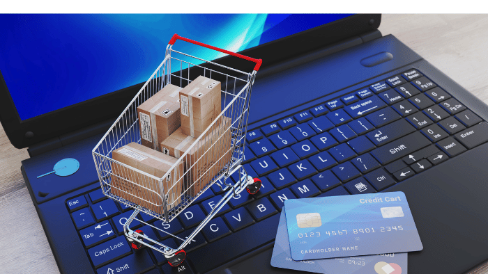 The Growth and Impact of Logistics Services in the E-commerce Industry